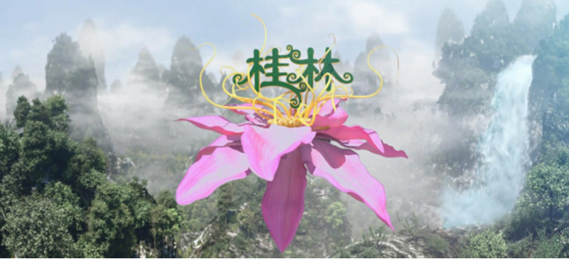 桂林影片内容封面